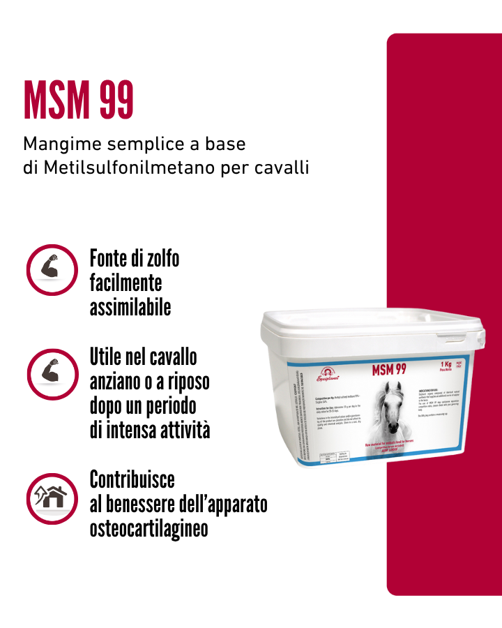 MSM 99